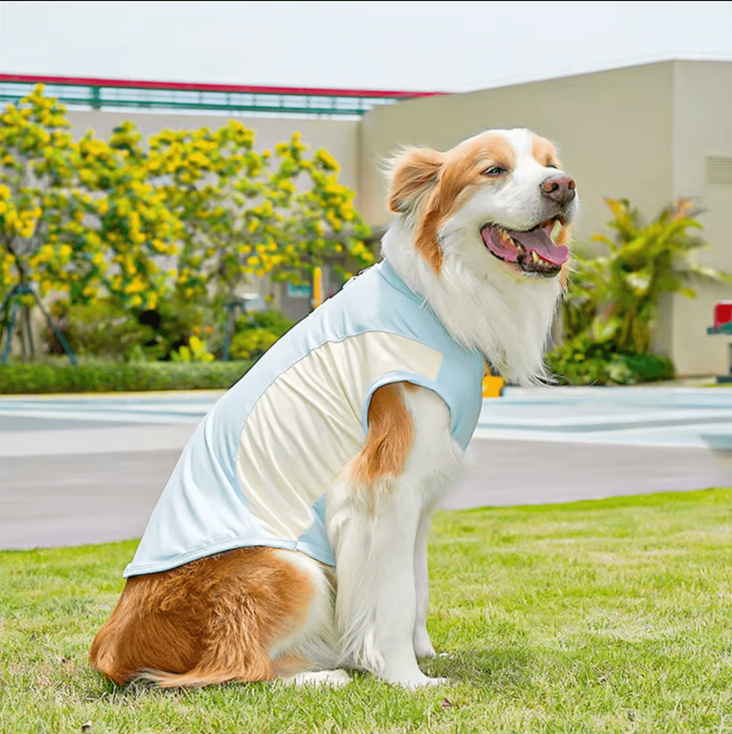 Breathable Mesh Cooling Dog Vest – Lightweight Ice Silk Summer Shirt for Large Dogs