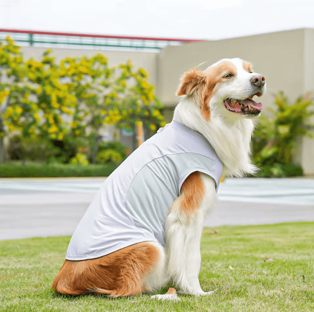Breathable Mesh Cooling Dog Vest – Lightweight Ice Silk Summer Shirt for Large Dogs