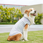 Breathable Mesh Cooling Dog Vest – Lightweight Ice Silk Summer Shirt for Large Dogs